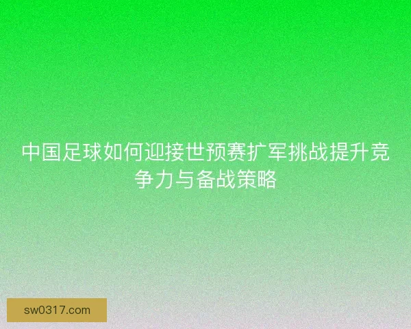 中国足球如何迎接世预赛扩军挑战提升竞争力与备战策略